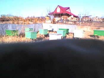 SP_A1778.jpg
