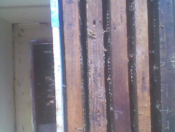 Oct-nov2011045.jpg