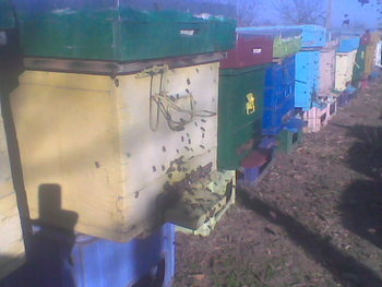 Oct-nov2011024.jpg