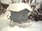 Stup iarnä 2004.jpg