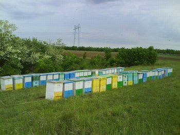 Resize of salcam silisteni 2009.JPG