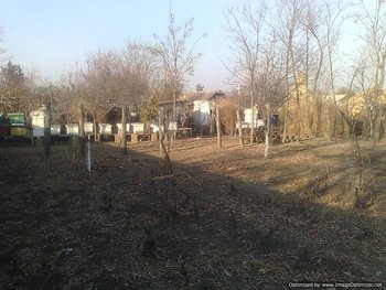 01122011778-Optimized.jpg