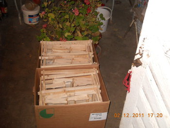 rsz_1dscn2323.jpg