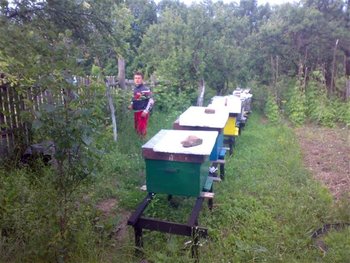 25062010705 (Small) (Large).jpg