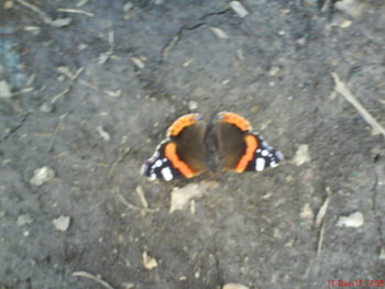 DSC02941.JPG