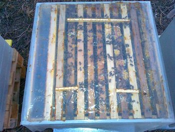 20102011160 (Medium).jpg