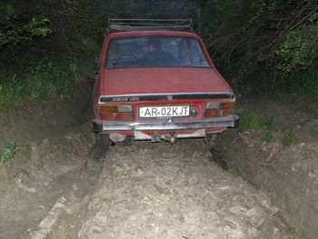 IMG_7433.JPG