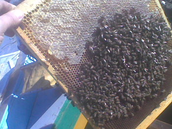 Oct-nov2011000.jpg