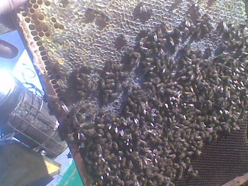 Oct-nov2011002.jpg