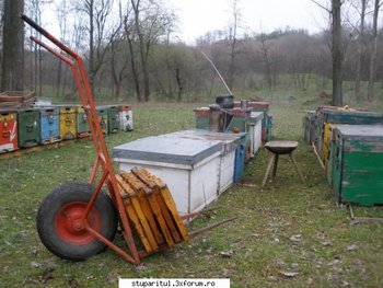 ok_48881.jpg
