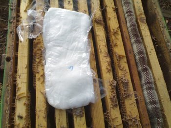 20122011630 (Small).jpg