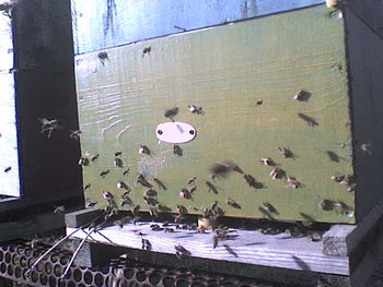 FEBR.2009 023.jpg