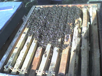 FEBR.2009 013.jpg