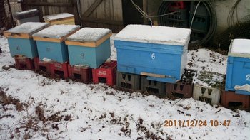 IMG_0061.jpg