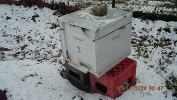 IMG_0064.jpg