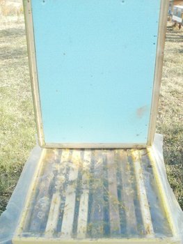 384115_264594826934577_100001521865345_736453_8019497_n.jpg