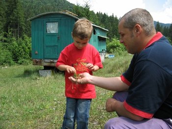 IMG_0203 (500x375).jpg