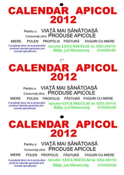 mesaj permanent 2012 , 3 în 1.jpg