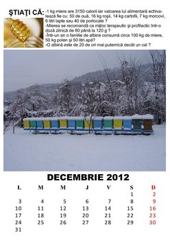 rsz_decembrie_2012_jpeg.jpg
