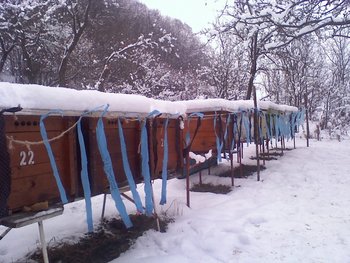 010111143854 (Copy).jpg