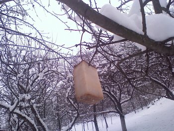010111144030 (Copy).jpg