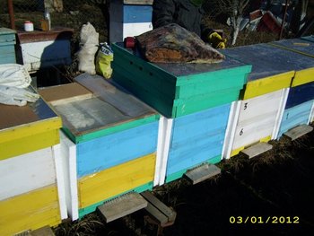 IMG_2348.jpg