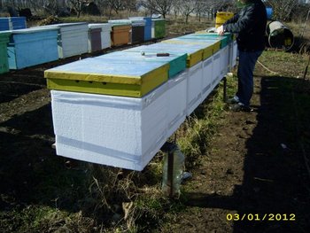 IMG_2353.jpg