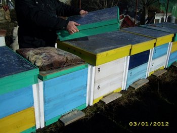 IMG_2355.jpg