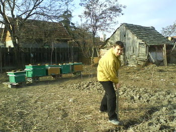 DSC03240.jpg