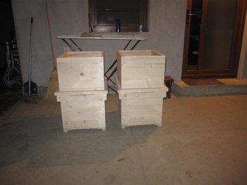IMG_4042 (Medium).JPG