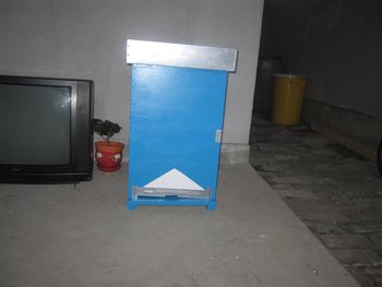 IMG_4717 (Medium).JPG