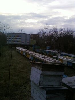 Fotografii-0336 (Medium).jpg
