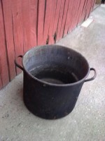 m_85369.jpg