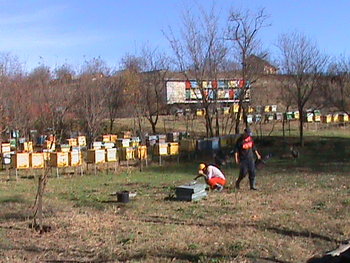 Picture 103.jpg