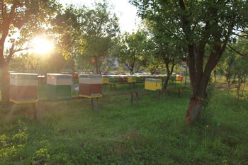IMG_4745.JPG