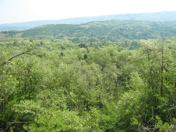 salcam2.JPG