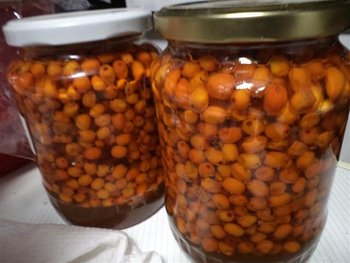 catina cu miere 2 (Small).jpg