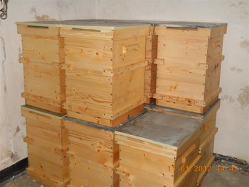 Picture 033 (Medium).jpg