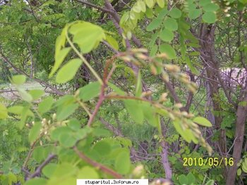 ok_106824.jpg