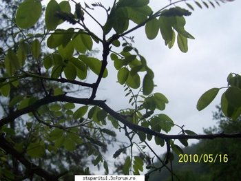 ok_106828.jpg