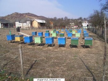 ok_20254.jpg