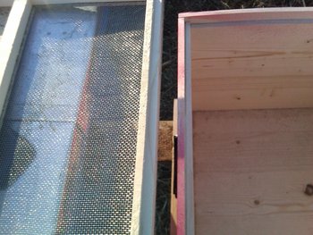 IMG00499-20120102-1539.jpg
