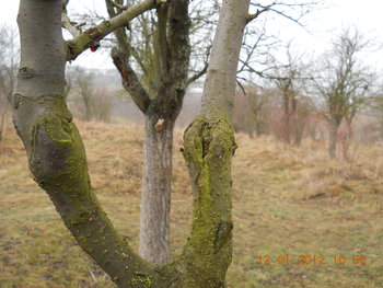 rsz_1dscn2497.jpg