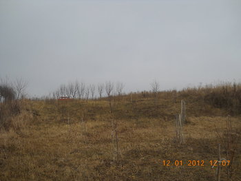 rsz_3dscn2504.jpg