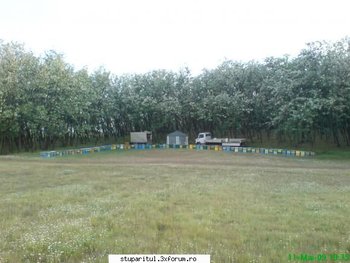 ok_54558.jpg