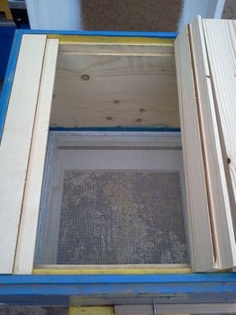 IMG029.jpg