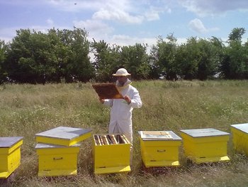 05072011101.jpg