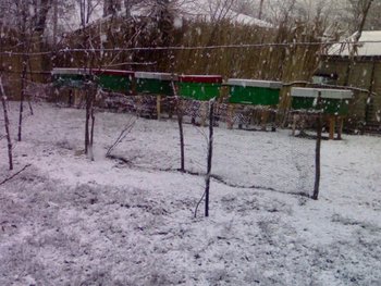 070120121182.jpg