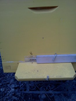 IMG041.jpg