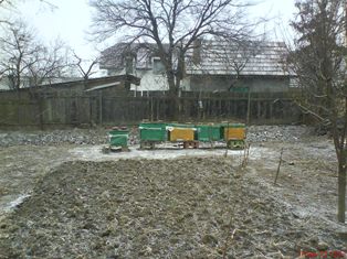 DSC03314.jpg